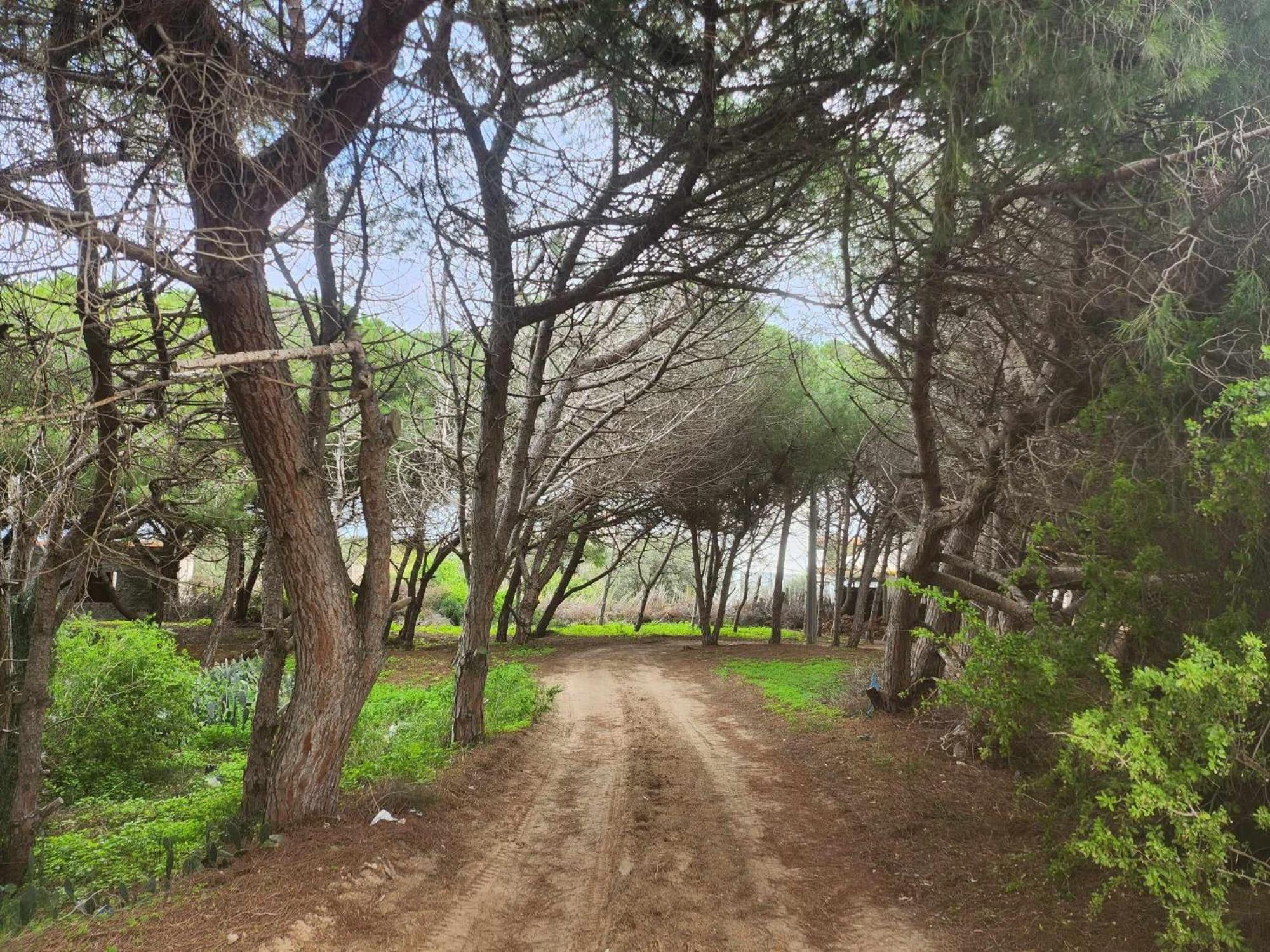 Villa Mabrouka Ra's al Jabal エクステリア 写真