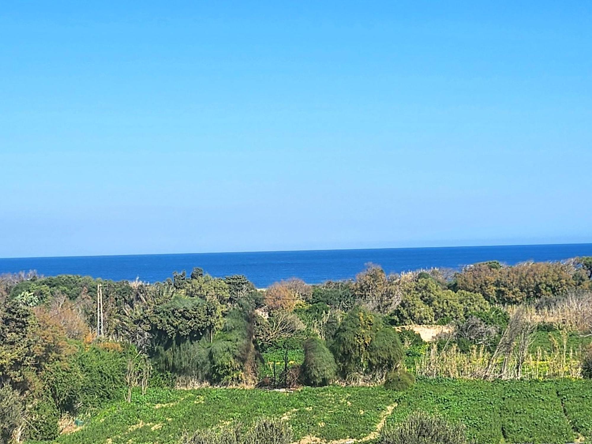 Villa Mabrouka Ra's al Jabal エクステリア 写真